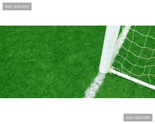 英超“足球基金会”计划本年度在社区新建50块人工草皮球场